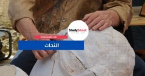 النحات