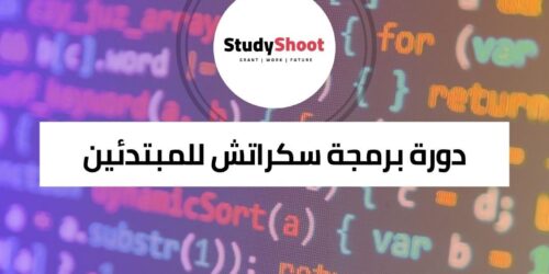 دورة برمجة سكراتش للمبتدئين