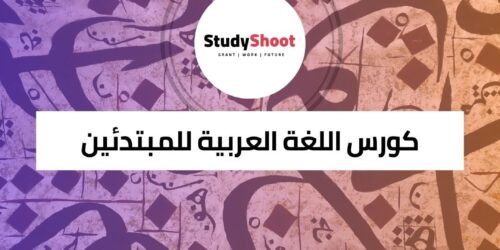 كورس اللغة العربية للمبتدئين