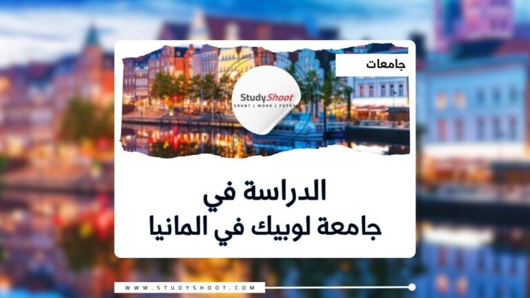 جامعة لوبيك