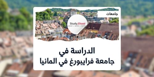 جامعة فرايبورغ