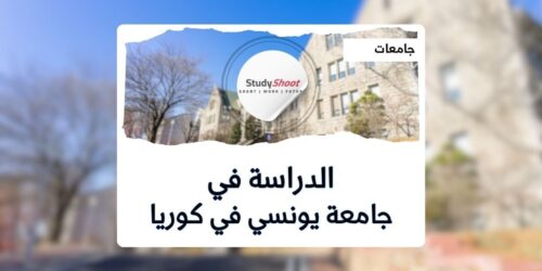جامعة يونسي