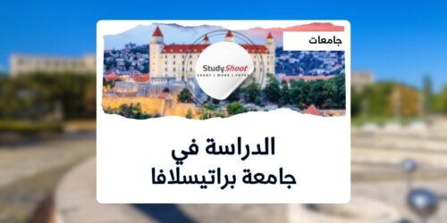 جامعة الاقتصاد في براتيسلافا