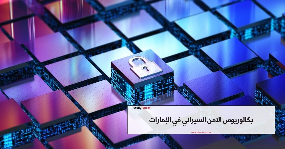 بكالوريوس الامن السيراني في الإمارات