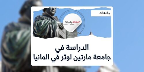 جامعة مارتين لوثر