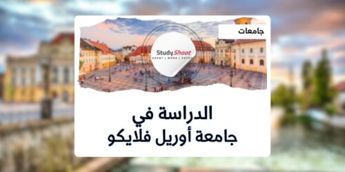 جامعة أوريل فلايكو