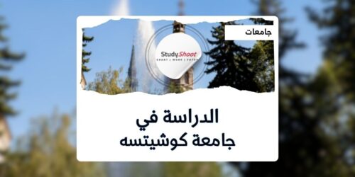 جامعة كوشيتسه