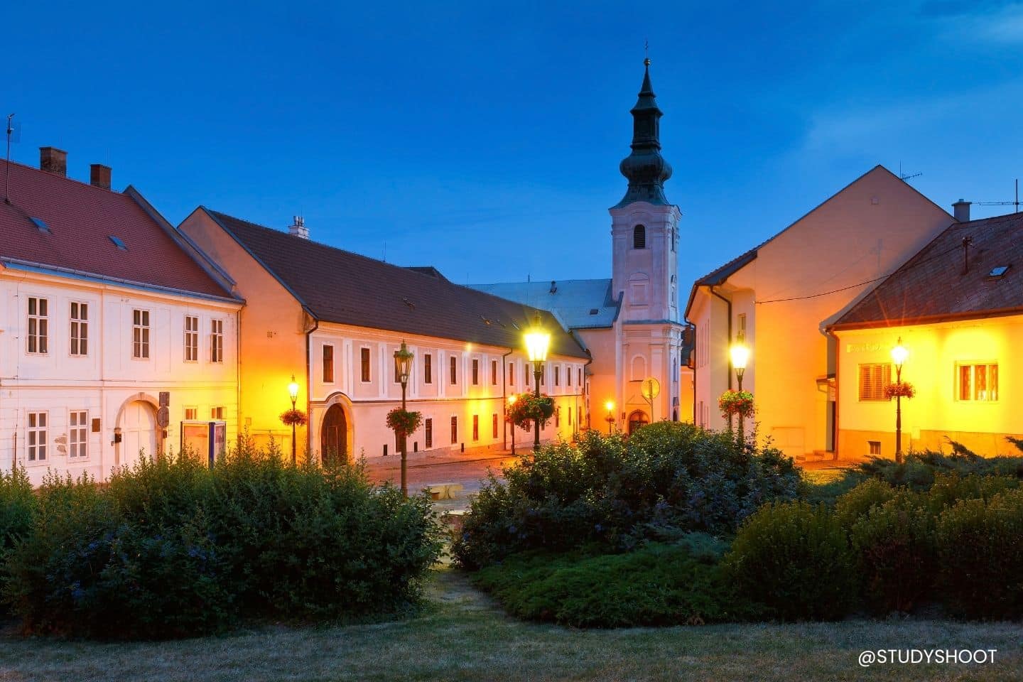 جامعة الزراعة في نيترا السلوفاكية
