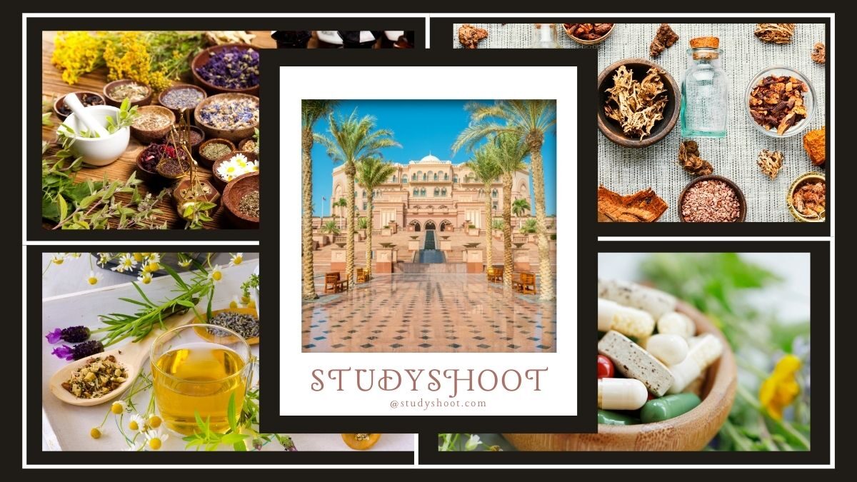 دراسة الطب البديل في الإمارات