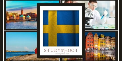 دراسة الطب في السويد