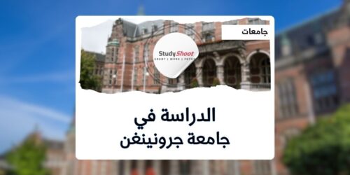 جامعة جرونينجن