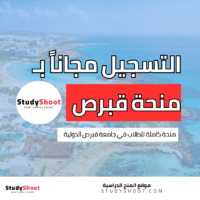 منحة جامعة قبرص الدولية