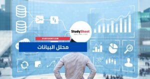 محلل البيانات