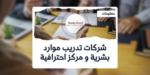 شركات تدريب موارد بشرية