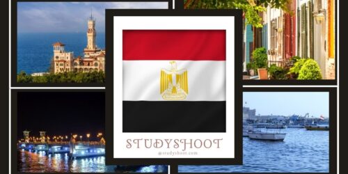 دراسة الطب في جامعة الإسكندرية