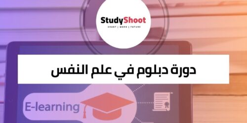 دبلوم علم نفس المجتمع