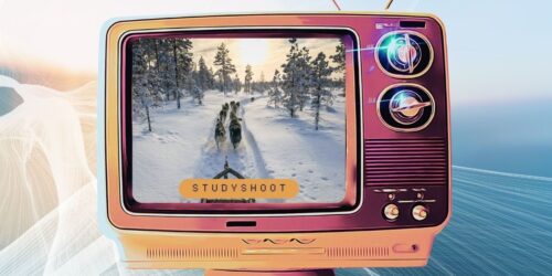 شهادة سواقة في السويد