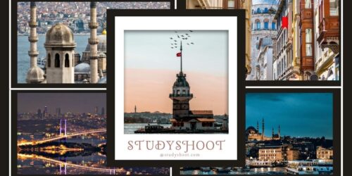 تخصصات المنحة التركية