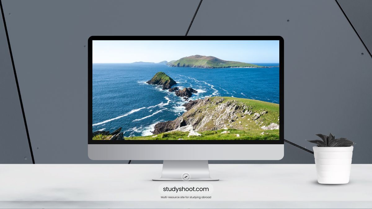 ترتيب الجامعات في إيرلندا