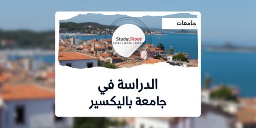 جامعة باليكسير