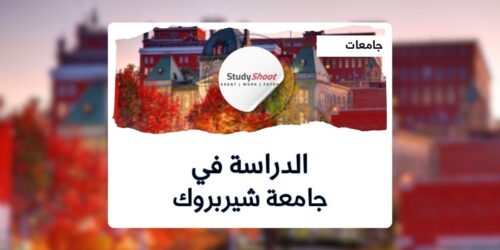 جامعة شيربروك
