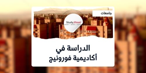 أكاديمية فورونيج التكنولوجية