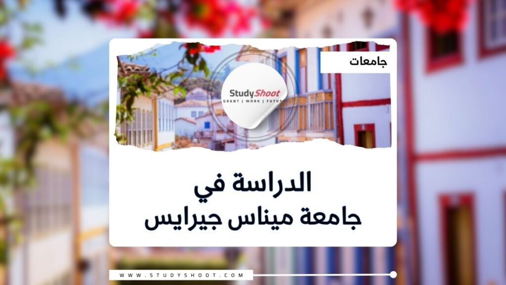 جامعة ميناس جيرايس الفيدرالية