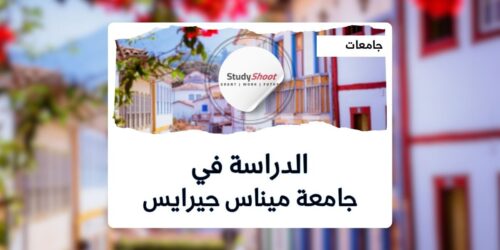 جامعة ميناس جيرايس الفيدرالية