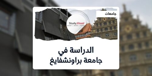 جامعة براونشفايغ