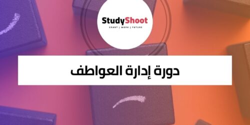 دورة إدارة العواطف في أوقات عدم اليقين: تعزيز الذكاء العاطفي للمعلمين