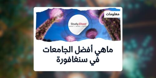 ترتيب الجامعات في سنغافورة