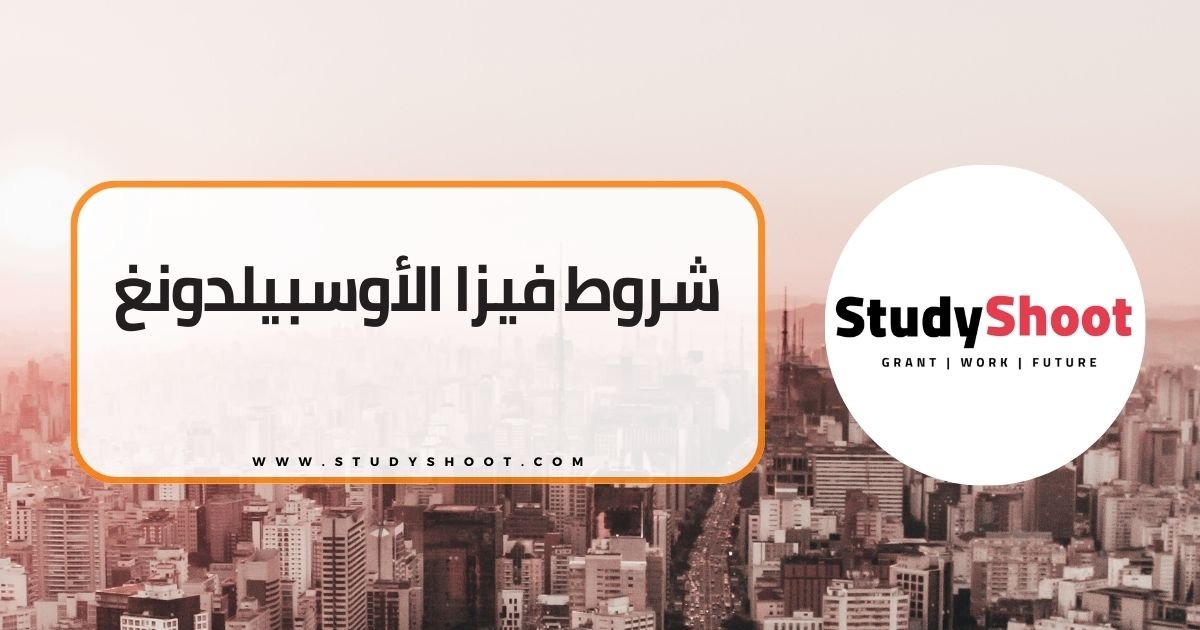 الاوسبيلدونغ: التدريب المهني في ألمانيا و أهم المعلومات للتسجيل STUDYSHOOT