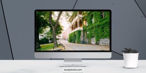 فرص العمل الموسمية في فنلندا