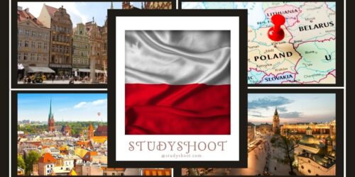 دراسة الطب في بولندا