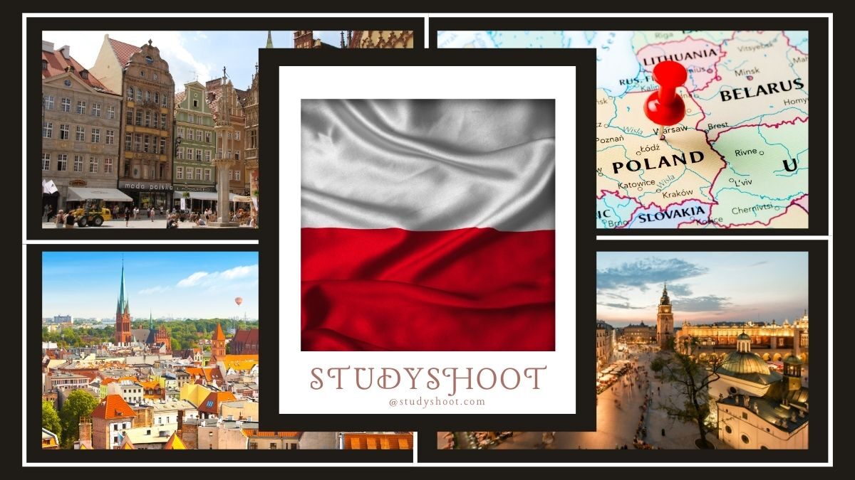 دراسة الطب في بولندا