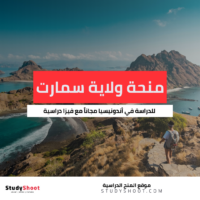 منحة ولاية سمارت