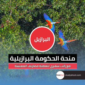منح الحكومة البرازيلية