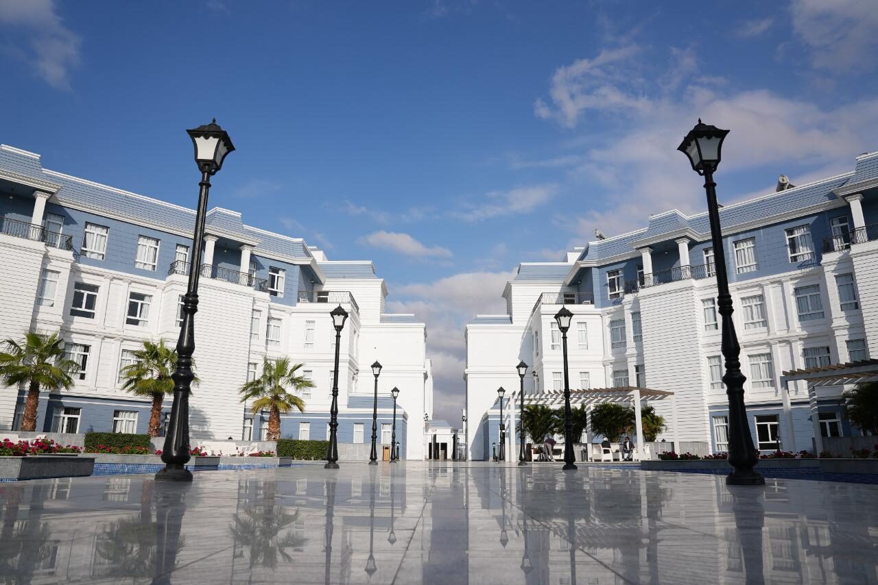 جامعة سيناء جامعة سيناء