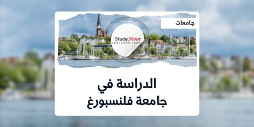 جامعة فلنسبورغ