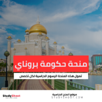 منحة حكومة بروناي