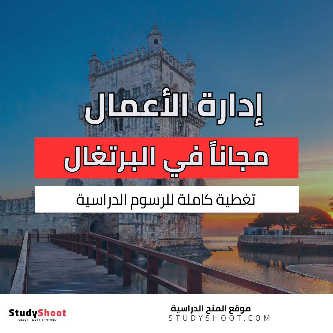 دراسة إدارة الأعمال في البرتغال