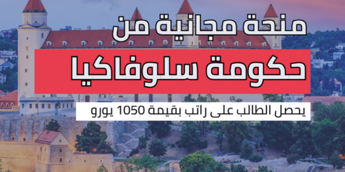 منحة حكومة سلوفاكيا