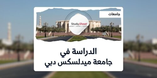 جامعة ميدلسكس دبي