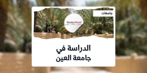 جامعة العين