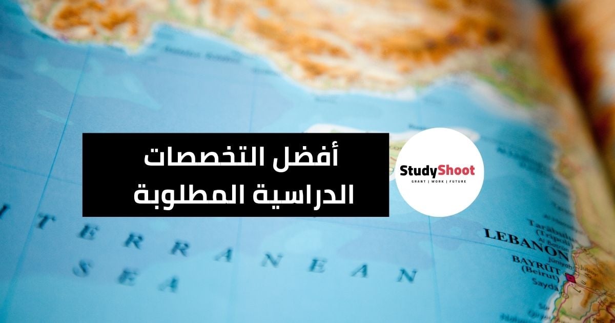 أفضل التخصصات الدراسية المطلوبة في سوق العمل القبرصي STUDYSHOOT