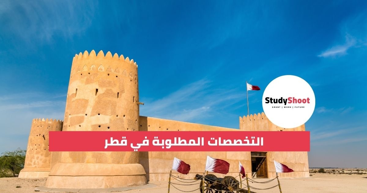 التخصصات المطلوبة في قطر