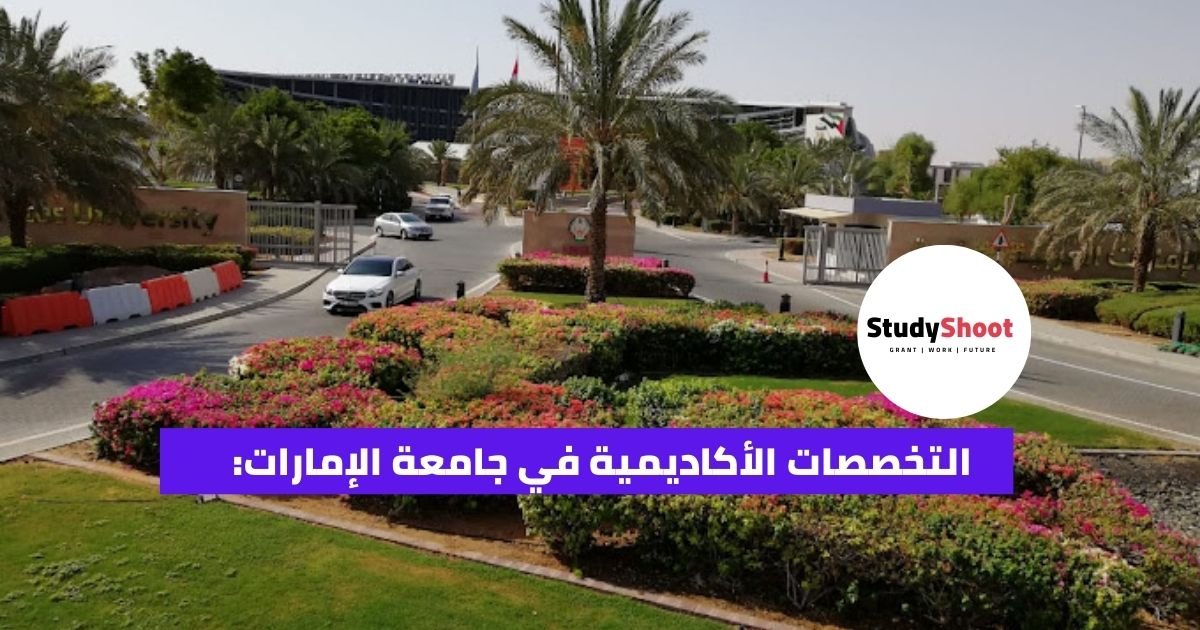 التخصصات الأكاديمية في جامعة الإمارات: