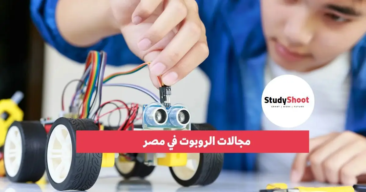 دراسة هندسة الروبوتات في مصر دراسة هندسة الروبوتات في مصر