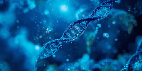 التقني الحيوي