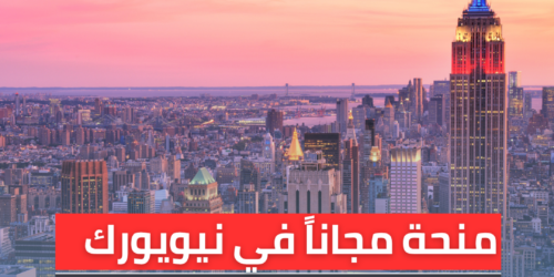 منحة جامعة هوفسترا